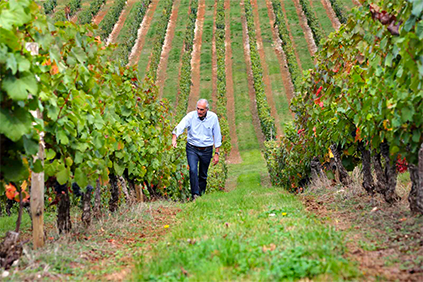 Vignobles Prieure Cenac Albas la Jolie Lot Occitanie France 2